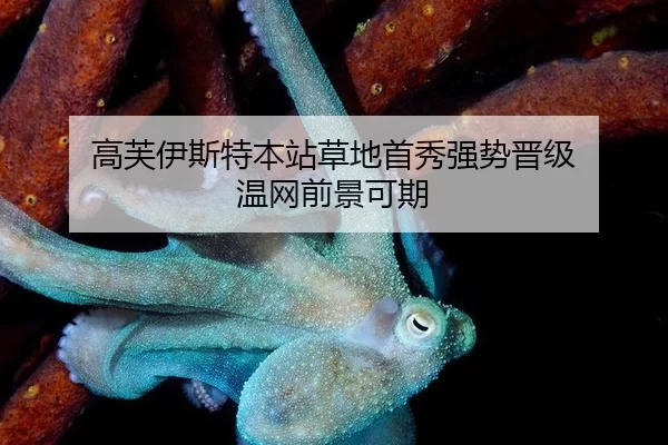 高芙伊斯特本站草地首秀强势晋级 温网前景可期