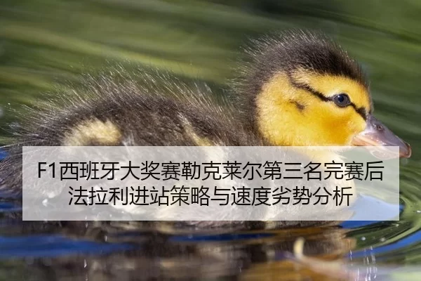 F1西班牙大奖赛勒克莱尔第三名完赛后法拉利进站策略与速度劣势分析