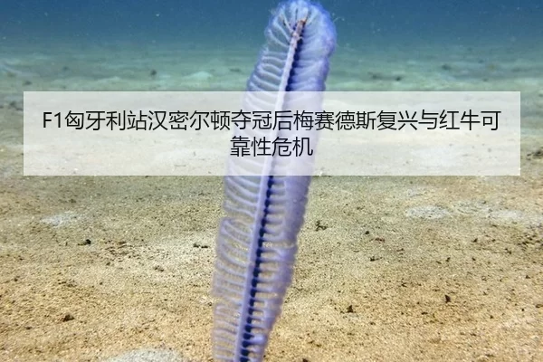 F1匈牙利站汉密尔顿夺冠后梅赛德斯复兴与红牛可靠性危机