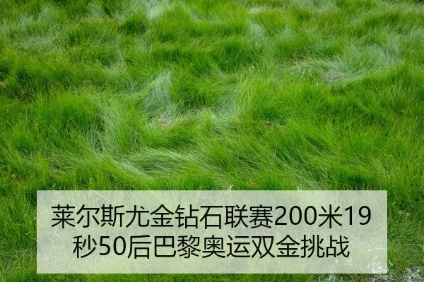 lai-er-si-you-jin-zuan-shi-lian-sai-mi-miao-hou-ba-li-ao-yun-shuang-jin-tiao-zhan-2-630.jpg